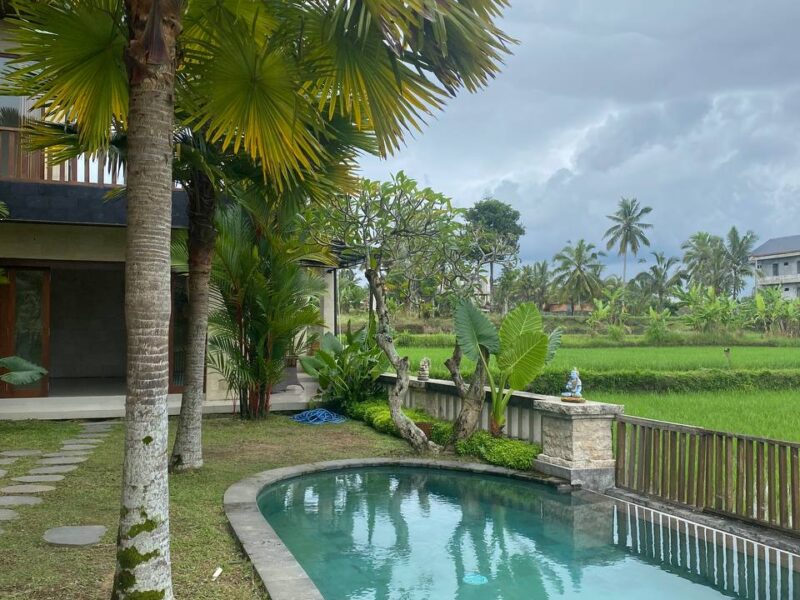 Exclusive Boutique Hotel for Sale in Ubud, Bali – A Turnkey Investment Opportunity