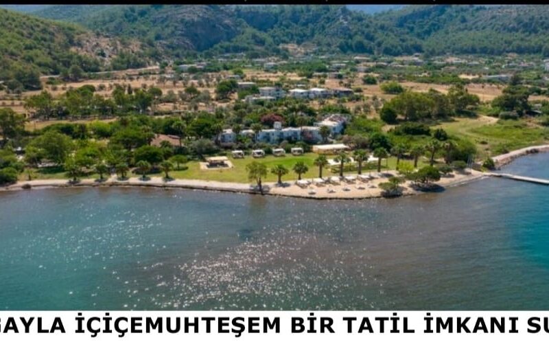 ✨ Beachfront Hotel for Sale in Turkey – First-Line Seaside Elegance ✨