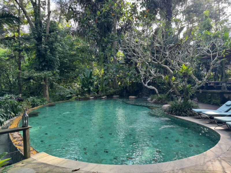 🌴 Exclusive Villa for Sale in Ubud, Bali! 🌴