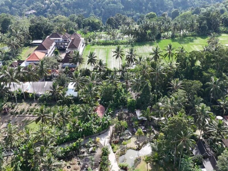 🌴 Exclusive Villa for Sale in Ubud, Bali! 🌴