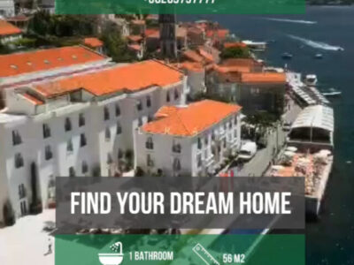 Montenegro property